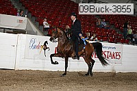 09buck-3855 proof