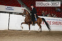 09buck-3857 proof