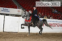 09buck-3863 proof