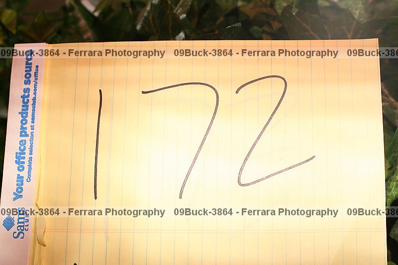 Proof 09buck-3864