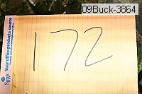 09buck-3864 proof