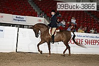 09buck-3865 proof