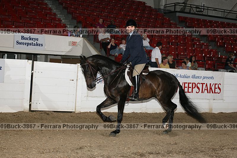 Proof 09buck-3867