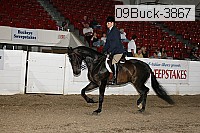 09buck-3867 proof