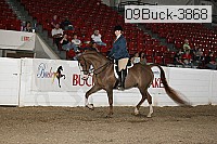 09buck-3868 proof