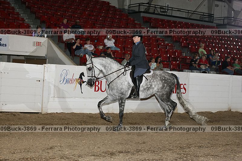 Proof 09buck-3869