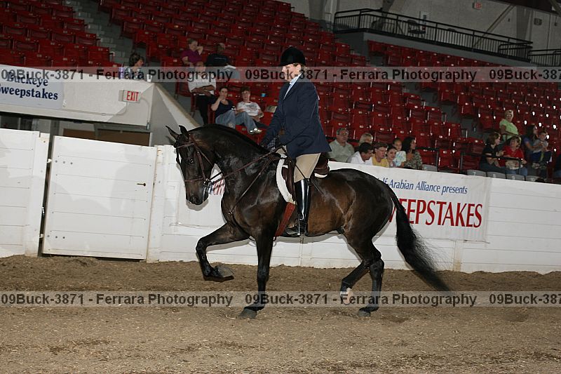 Proof 09buck-3871
