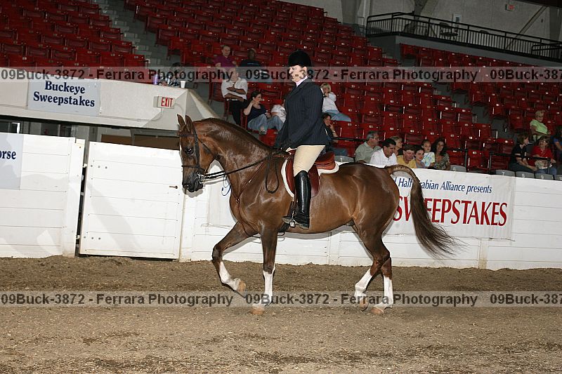 Proof 09buck-3872