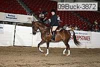 09buck-3872 proof