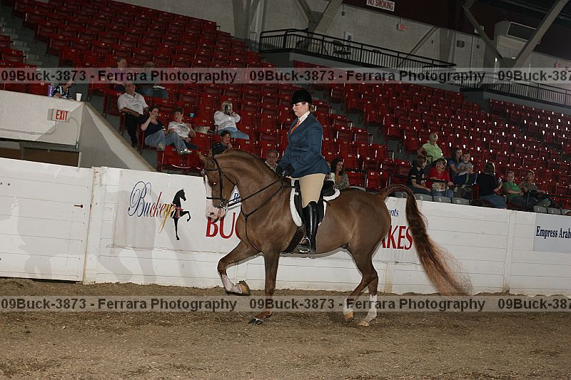 Proof 09buck-3873