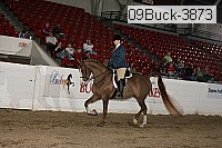 09buck-3873 proof