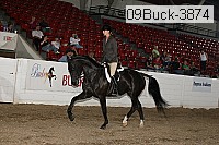 09buck-3874 proof