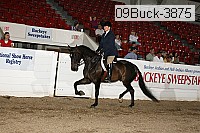 09buck-3875 proof