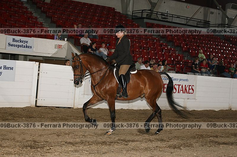 Proof 09buck-3876