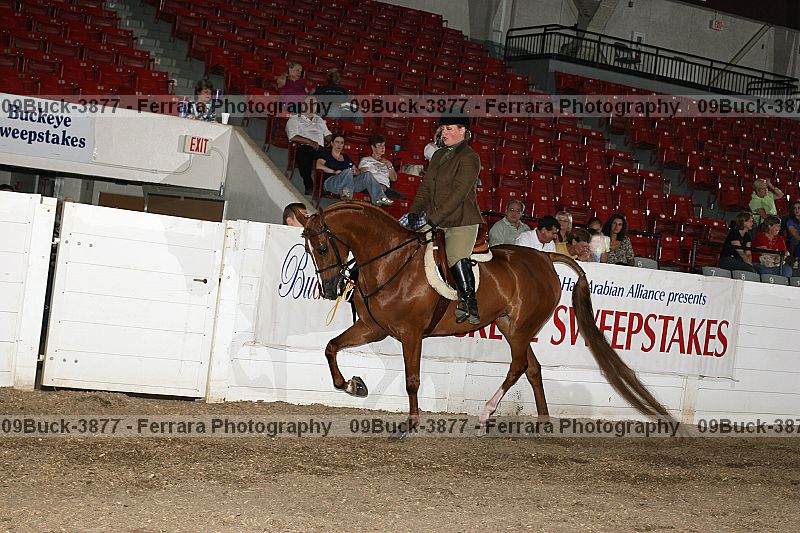 Proof 09buck-3877