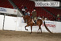 09buck-3877 proof