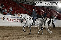 09buck-3878 proof