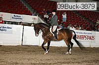 09buck-3879 proof