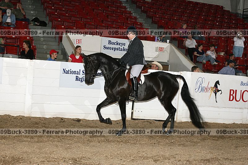 Proof 09buck-3880
