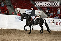 09buck-3880 proof