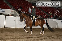 09buck-3882 proof