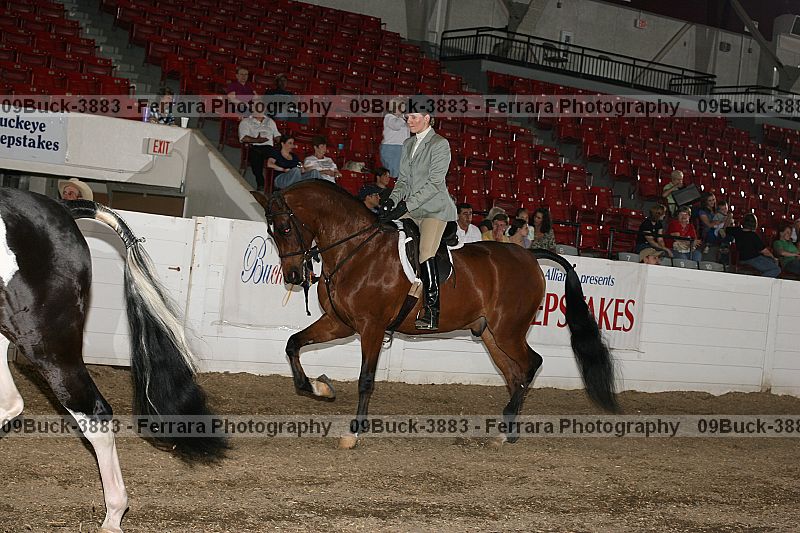 Proof 09buck-3883