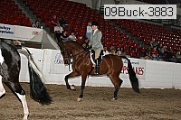 09buck-3883 proof