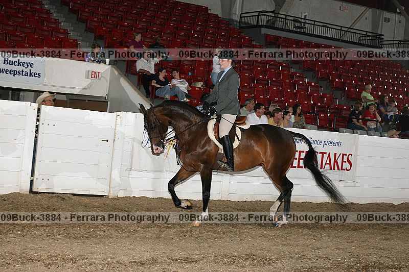 Proof 09buck-3884