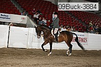 09buck-3884 proof