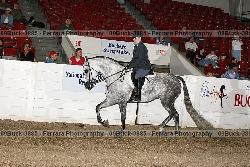 Proof 09buck-3885