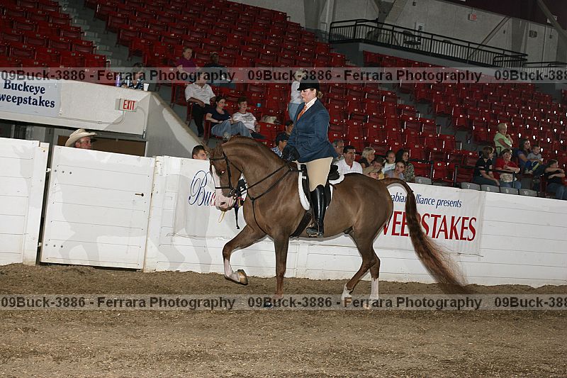 Proof 09buck-3886