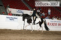 09buck-3887 proof