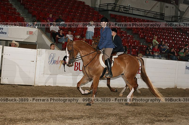 Proof 09buck-3889