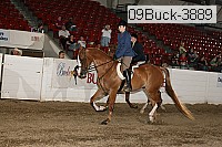 09buck-3889 proof