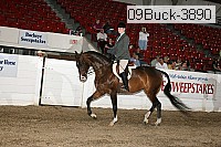 09buck-3890 proof