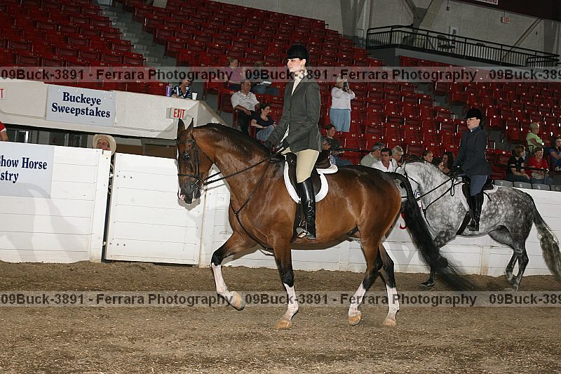 Proof 09buck-3891