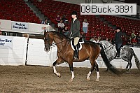 09buck-3891 proof
