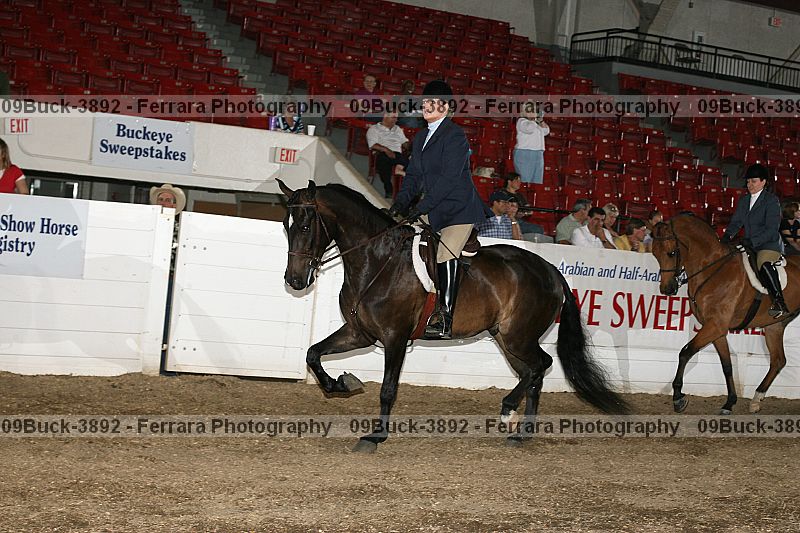 Proof 09buck-3892