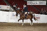 09buck-3893 proof
