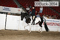 09buck-3894 proof