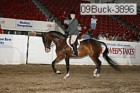 09buck-3896 proof