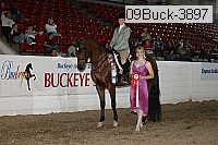 09buck-3897 proof