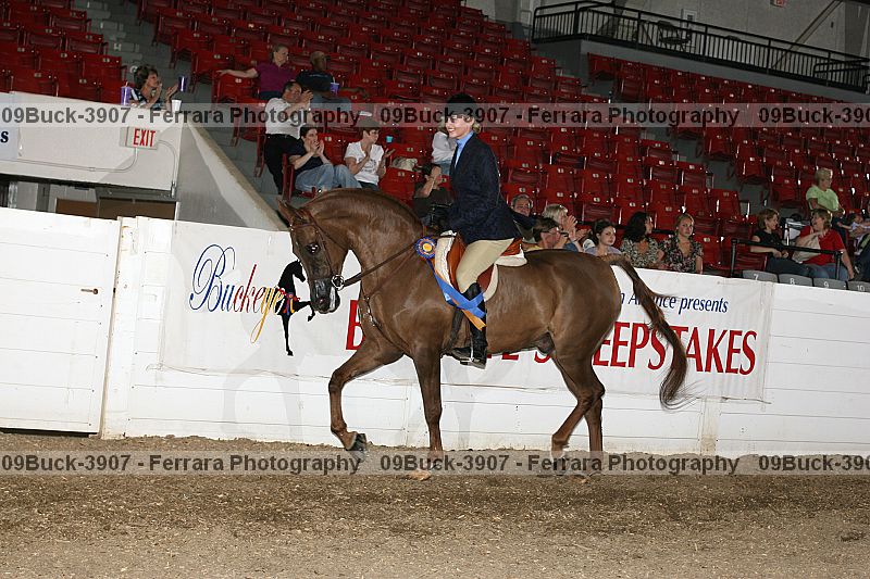 Proof 09buck-3907