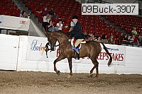 09buck-3907 proof