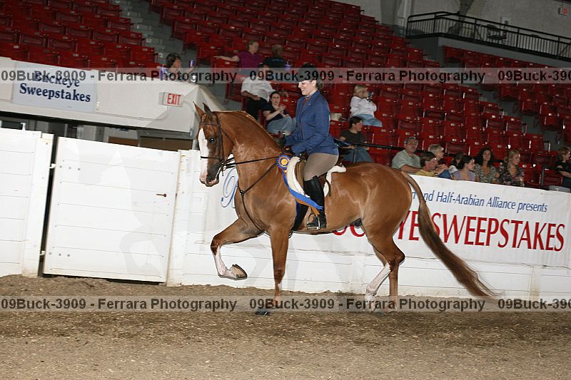 Proof 09buck-3909