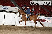 09buck-3909 proof