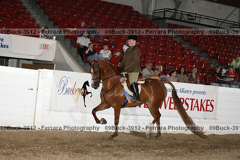 Proof 09buck-3912
