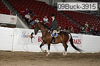 09buck-3915 proof