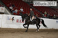 09buck-3917 proof
