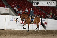 09buck-3919 proof